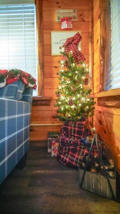 Charming Lakeview Cabin Near Geneva-On-The-Lake! Ashtabula Luaran gambar